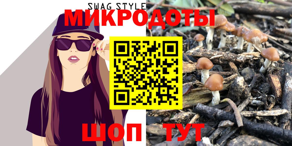 Алатырь  Псилоцибиновые грибы Psilocybine cubensis  купить закладку  Псилоцибиновые грибы ЛСД  Вход с VPN 